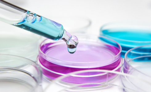 赢天堂(中国)官方网站