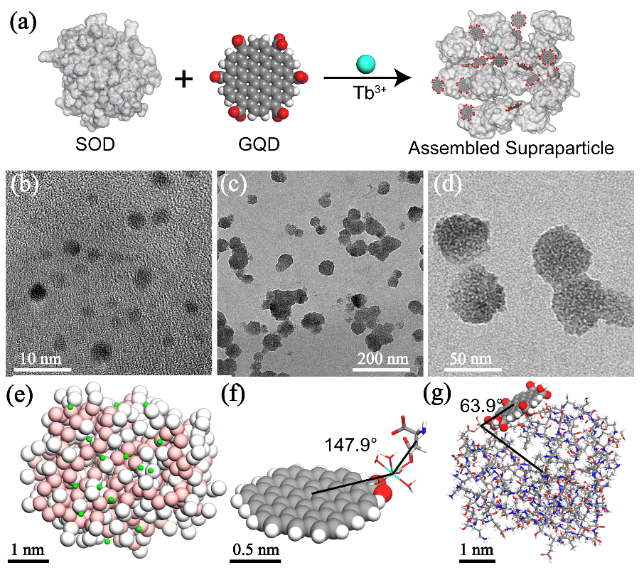 赢天堂图南研究院在功效性子料研制及疾病诊断领域取得主要希望