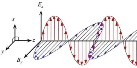 赢天堂(中国)官方网站